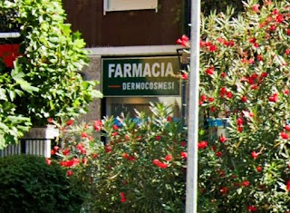 Farmacia Rembrandt