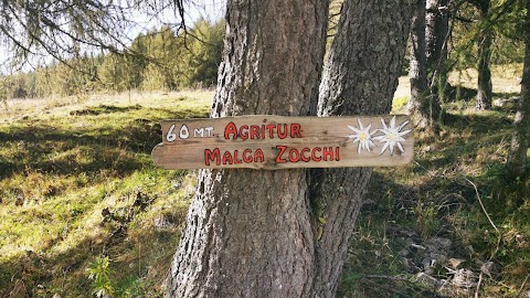 Malga Zocchi