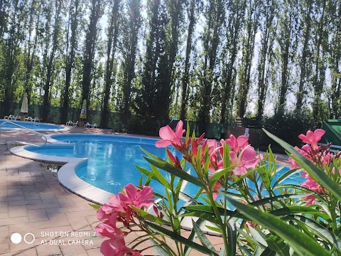 Piscine Naturalis