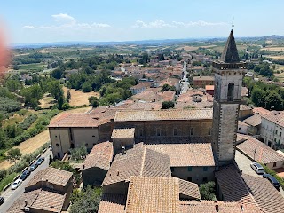 Istituto di Ricerca e di studi in Ottica e Optometria