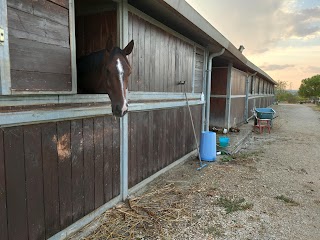 Maneggio Riding Club Mentana