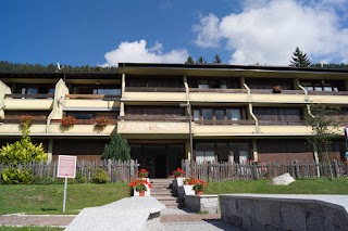 Appartamento 214 Madonna di Campiglio. Affitto appartamento da privato