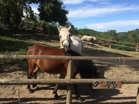 V-Ranch Centro Turismo Equestre