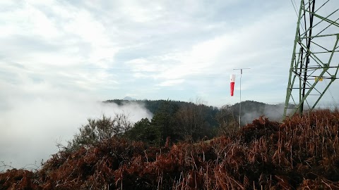 parco dell'orsetto