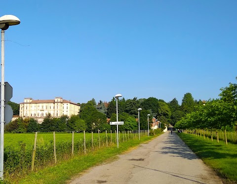 Istituto Istruzione Superiore Statale "Luigi Castiglioni"