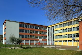 Liceo Scientifico Statale Paolo Frisi