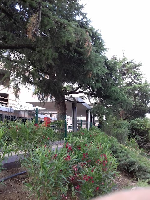 Ospedale Pederzoli, Pronto Soccorso