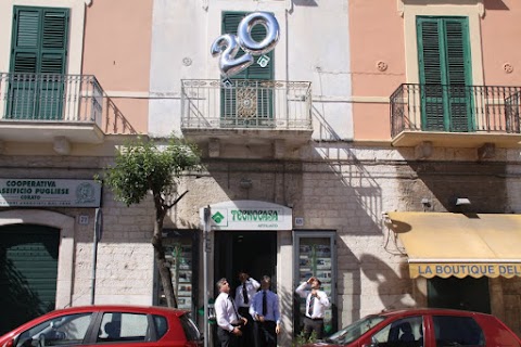 Affiliato Tecnocasa Studio Santo Spirito S.A.S.