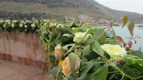 Adragna Fiori di Grillo Vincenza