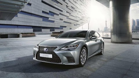 LEXUS FIRENZE - BI AUTO - Sesto Fiorentino