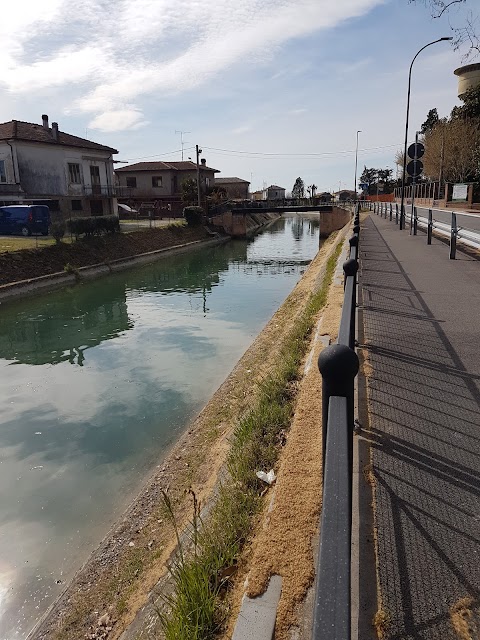 Platano Orientale di San Rocco