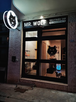 Mr Wolf toelettatura per cani