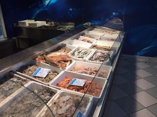 Pescheria Treviso | El Tiburon Sas