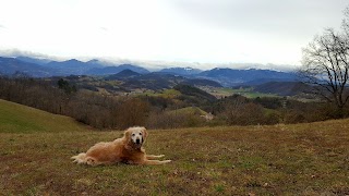 Monte Poggio Castro