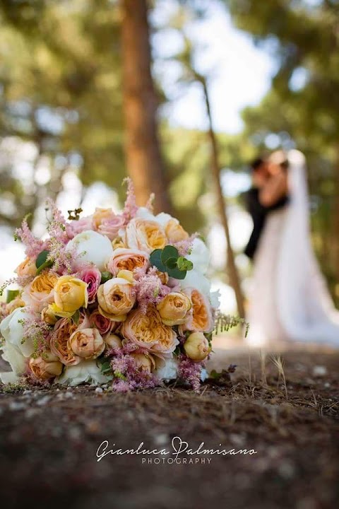 Labianca Fiori Di Antonio Labianca