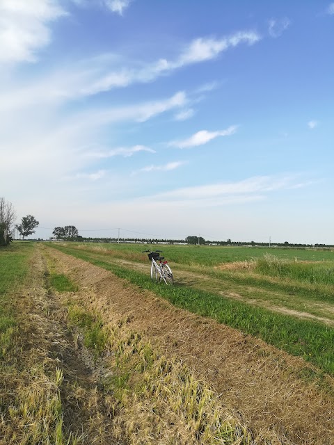 Area di ripopolamento faunistico