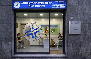 Ambulatorio Veterinario Dott Borgarello