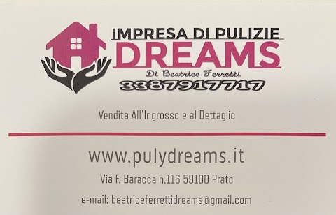 Impresa di pulizie Dreams