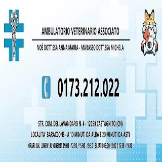 Ambulatorio Veterinario Associato Noe' Marasso