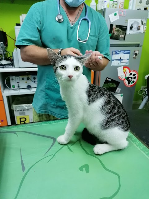 Ambulatorio Veterinario Dr Iotti Marcello