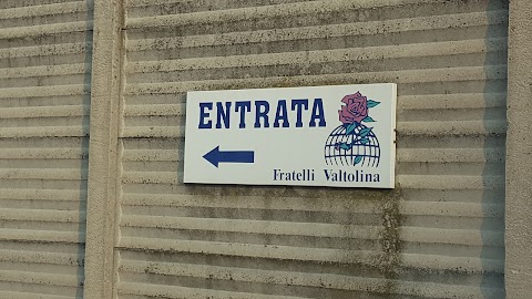 Fratelli Valtolina srl