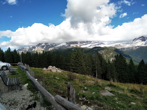 Trentino Trasporti Esercizio S.P.A.