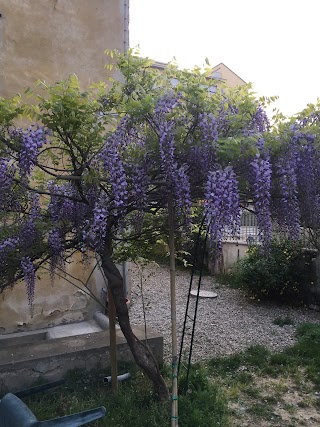 il giardino degli elfi