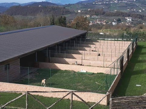 Dog Happy Village Di Apuzzo Franco