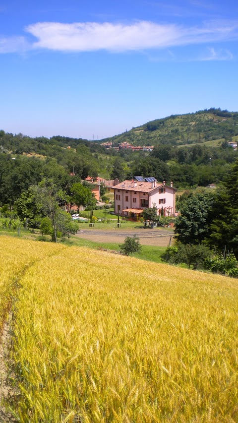 Agriturismo Il Cavicchio