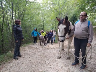 Basalovo Trekking