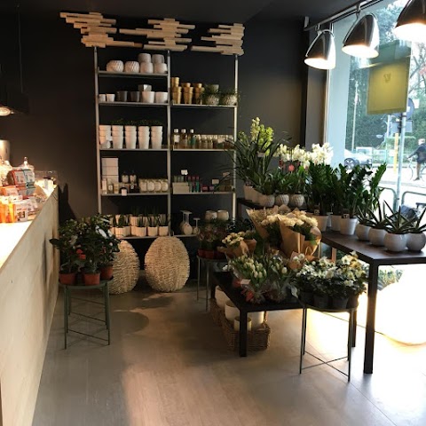 Minù Treviso Concept Store