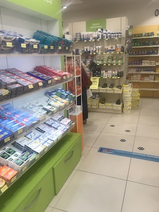 Pharmacie Argilli