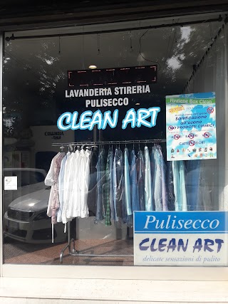 Pulisecco Clean Art