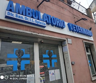 Ambulatorio Veterinario dott.ssa Spiezia Iolanda Lucia