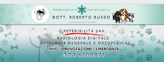 Ambulatorio veterinario Dott Russo Roberto