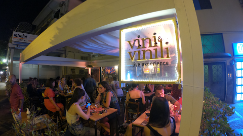 Vini & Vinili