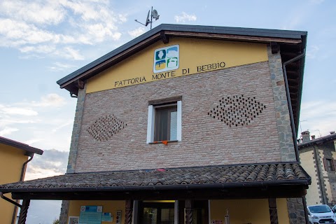 Fattoria Monte di Bebbio