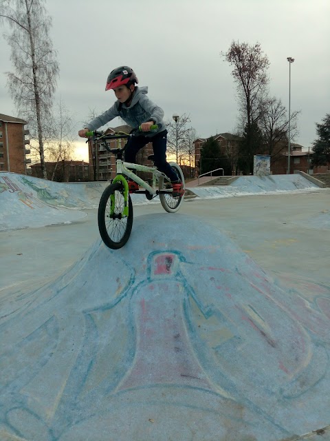 Skate Park Biella