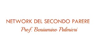 Network del secondo parere - Prof. Beniamino Palmieri