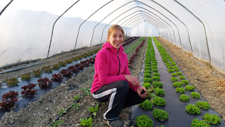 Azienda Agricola La Pedrocca di Musi Catia