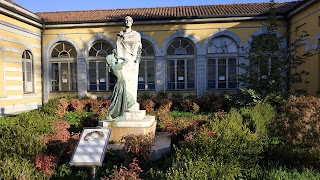 Università del Piemonte Orientale - Dipartimento di Scienze e Innovazione Tecnologica - Alessandria