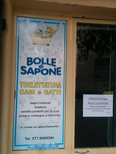 Bolle di Sapone