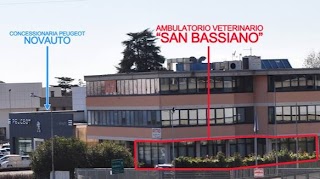 Ambulatorio Veterinario San Bassiano