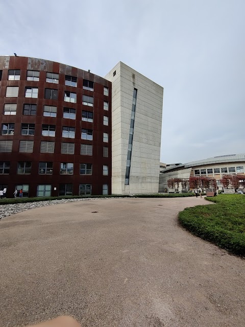 Università degli Studi di Brescia - Facoltà di Medicina e Chirurgia -