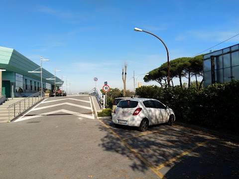 Dipartimento di Farmacia - Università degli Studi di Napoli Federico II