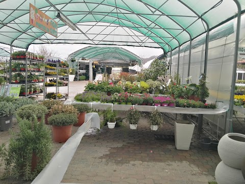 Sebino Garden Center