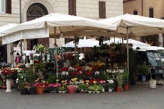 Pippo Campo de' Fiori