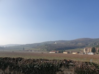 Centro di Servizi "Sacro Cuore" - Istituto Sorelle della Misericordia