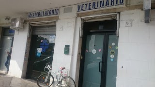 Ambulatorio Veterinario Dott. Alessandro Ovidi