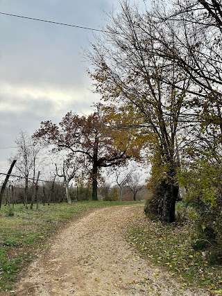 Bosco del monte cavallo